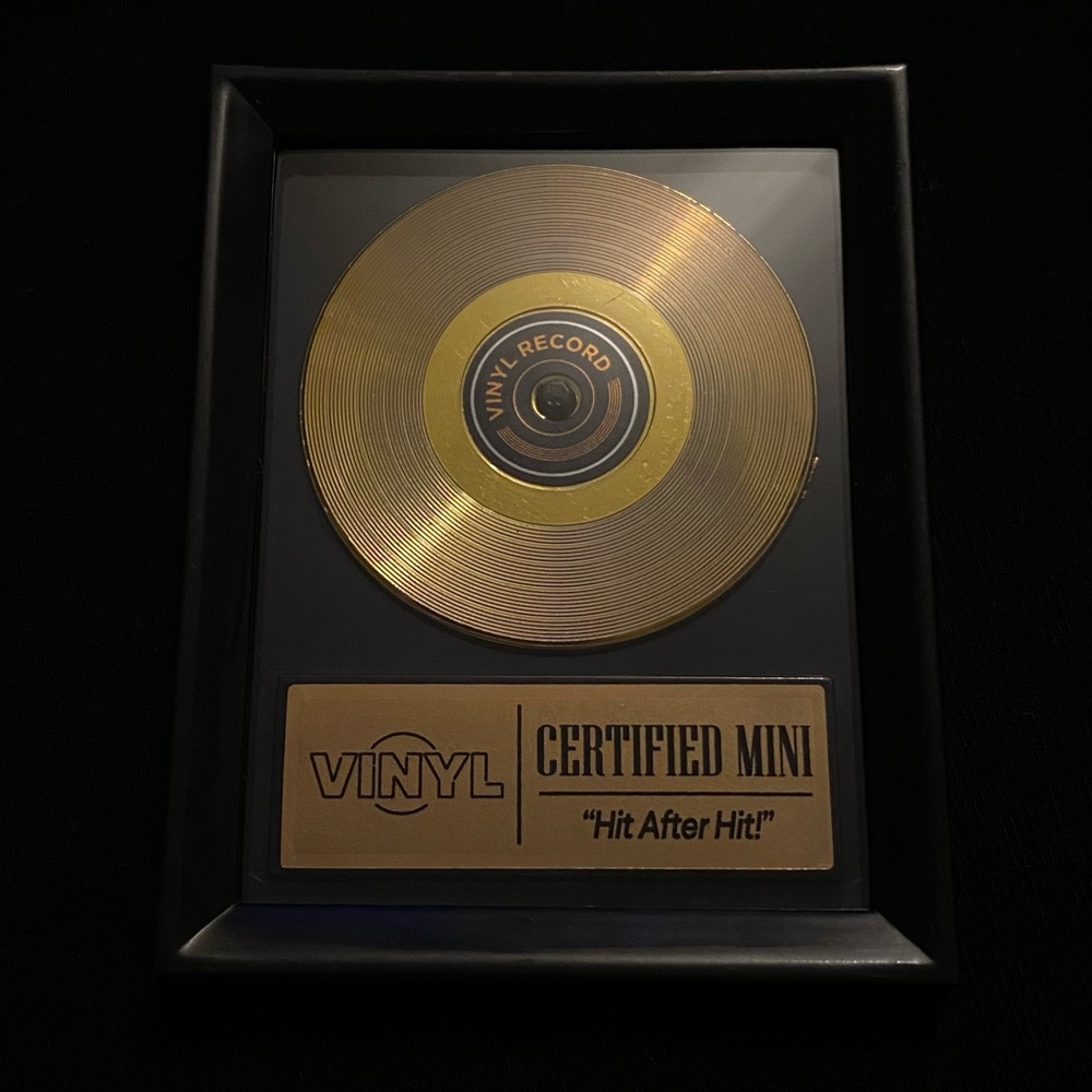 Zuru Mini Brands Really Works Vinyl Rare Gold Accessories
- Golden Record Award